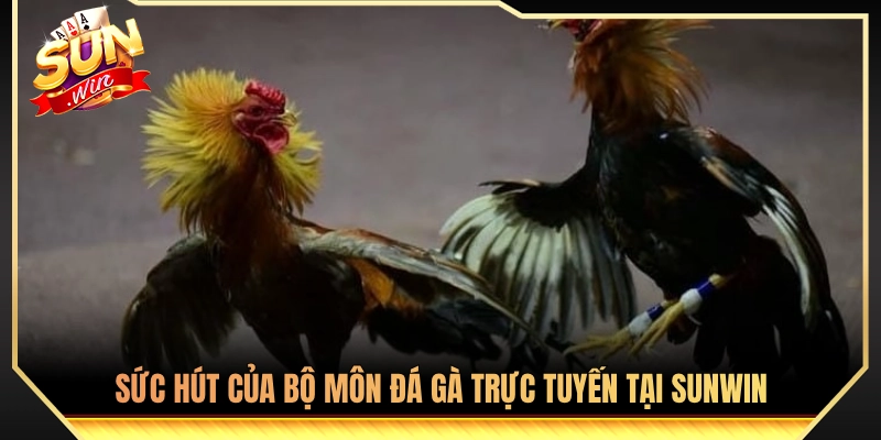Sức hấp dẫn từ sảnh chọi gà online trên nền tảng Sunwin 