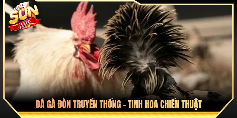 Gà đòn truyền thống - Các thể đá gà phổ biến nhất